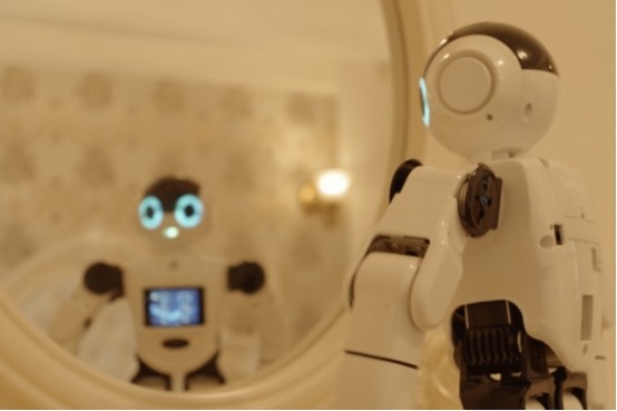机器人在进化？他们学会了照镜子。未来有可能产生意识吗？