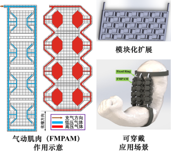天津大学最新研发：3D打印软机器人