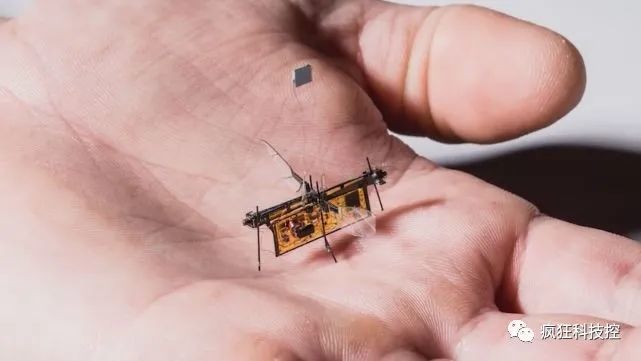 【见多识广】世界首个切断电源飞行的机器人，苍蝇一般大小，意义重大！