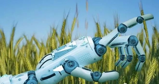 未来农业｜人工智能改变农业的5种方式