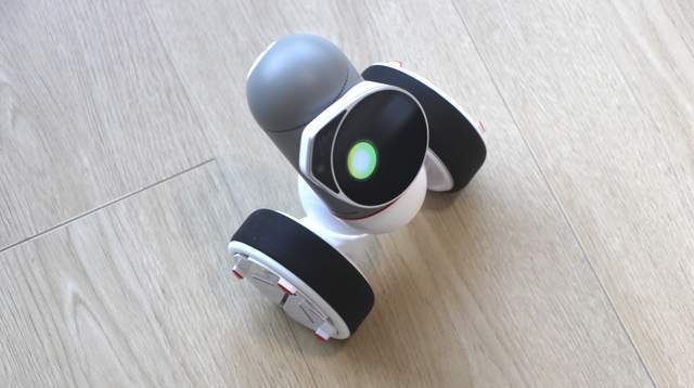 亲子共学的智能机器人：可立宝教育编程智能机器人体验