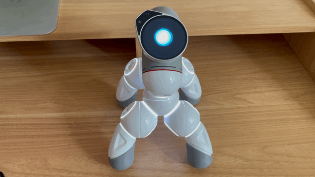 亲子共学的智能机器人：可立宝教育编程智能机器人体验