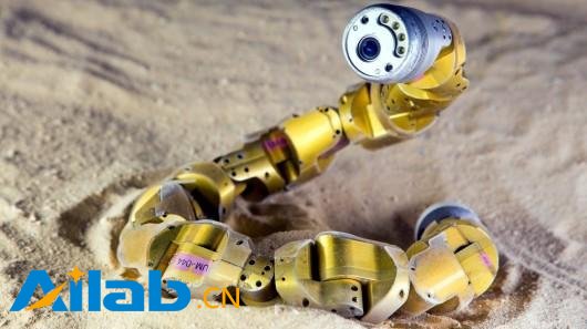 美科学家打造蛇形机器人：灵活到能缠住你的腿